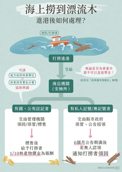 海上撈到漂流木