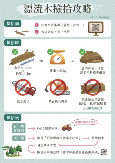 漂流木撿拾攻略
