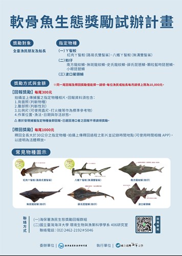 軟骨魚生態獎勵試辦計畫