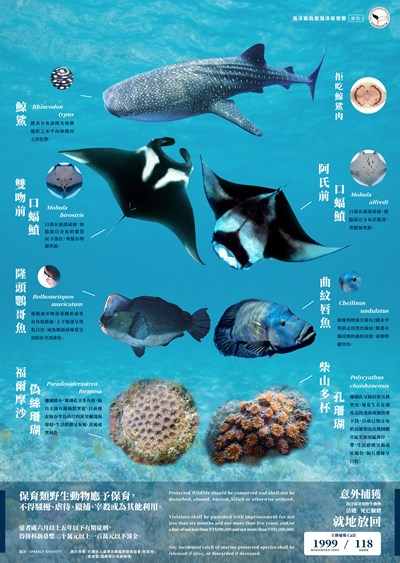 387270000G_1150010506_ATTACH2