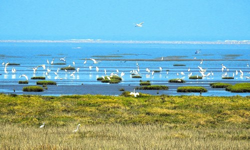 相片提供者吳自強