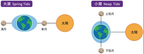 大潮小潮