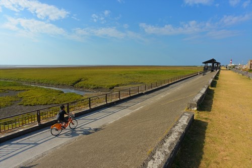 高美海堤