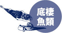 底棲魚類