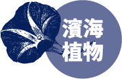 濱海植物